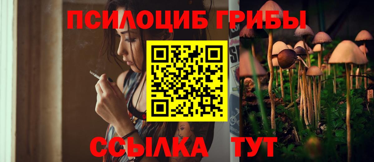 купить наркотик  Галлюциногенные грибы GOLDEN TEACHER  Вход с VPN  Тара 